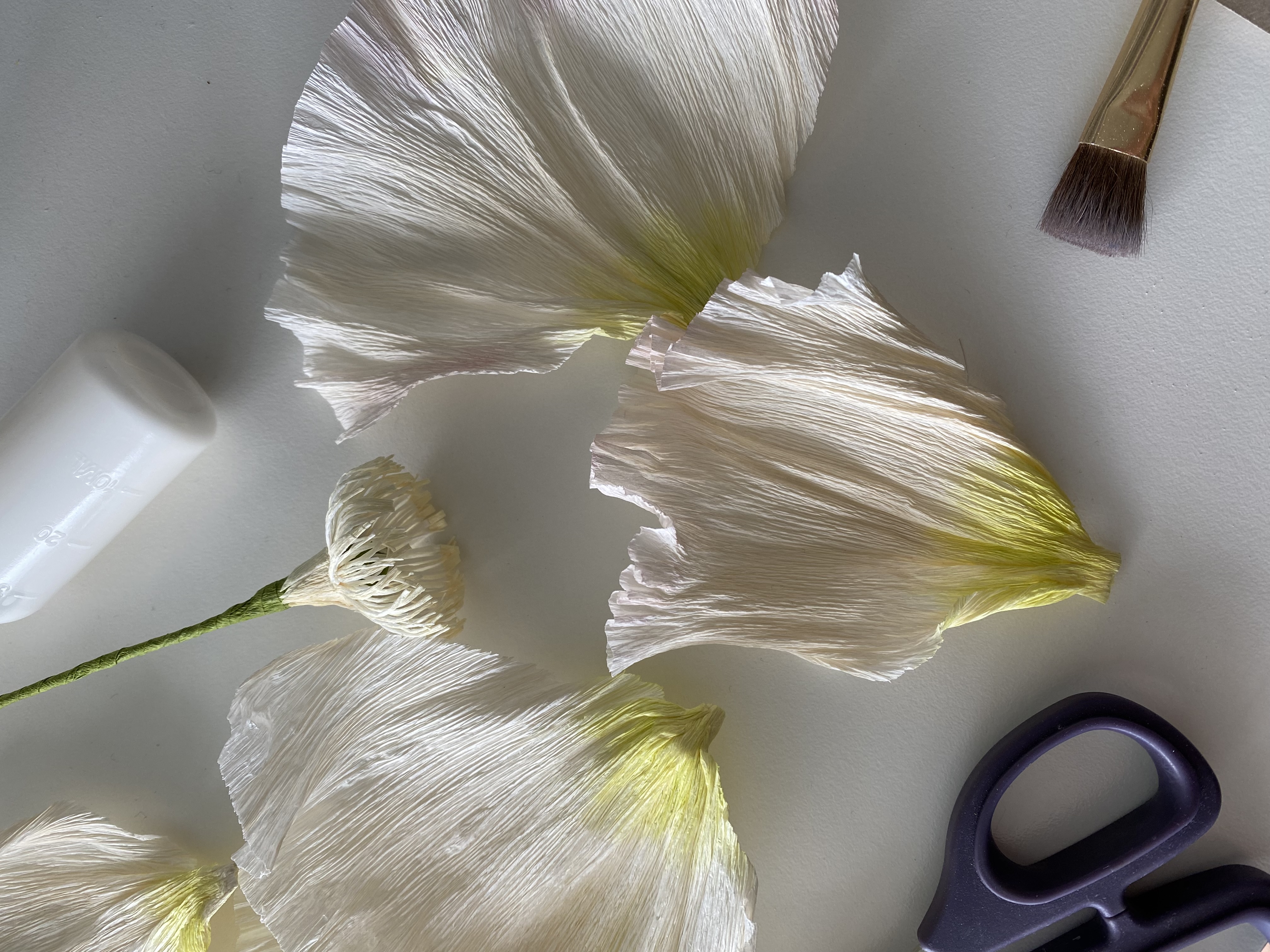Paper Art Atelier Berlin — BLOOMKVIST Pfingstrose Manufakturpapier