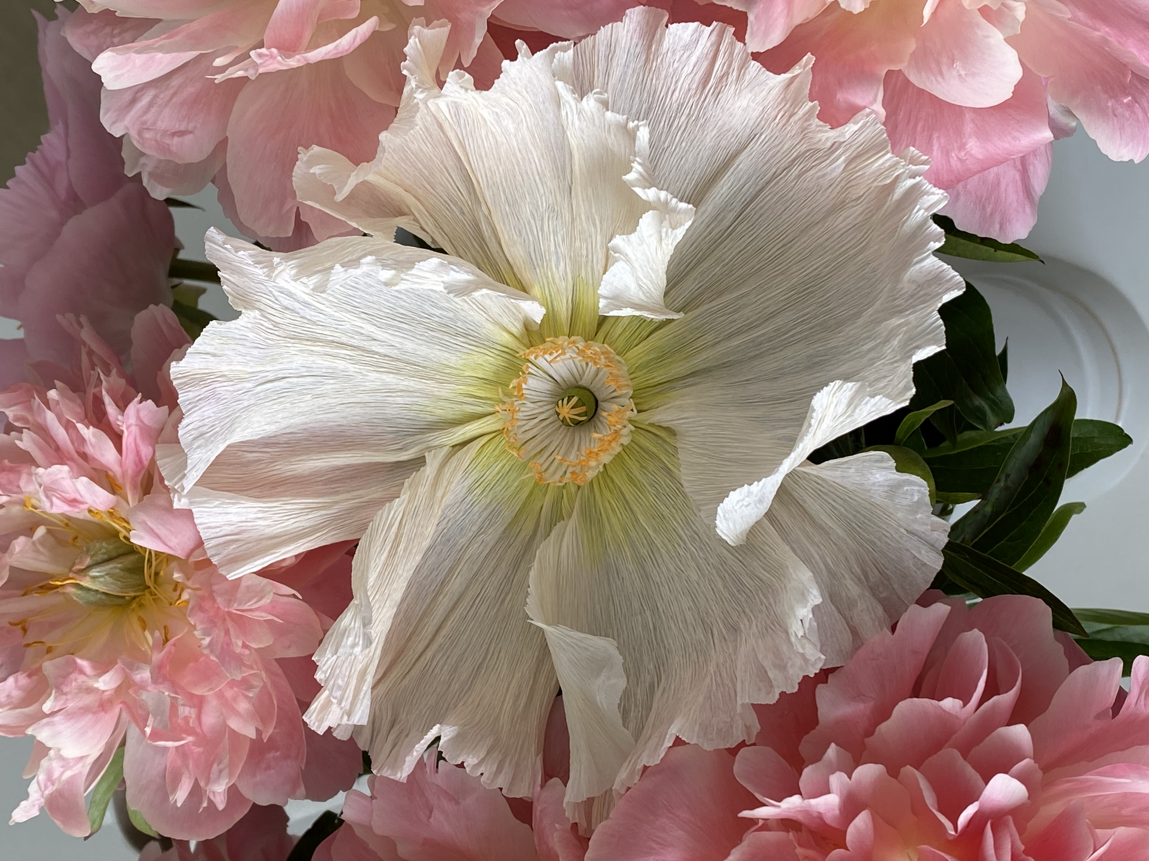 Paper Art Corporate Event Berlin — BLOOMKVIST SIGNATURE Session